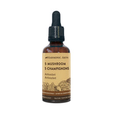 Load image into Gallery viewer, 5 Mushroom Tincture