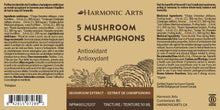 Load image into Gallery viewer, 5 Mushroom Tincture