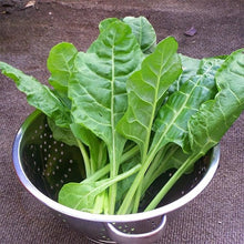 Load image into Gallery viewer, Summer Spinach
