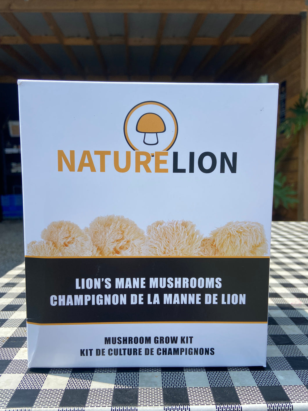 Lions Mane Mushroom Grow Kit