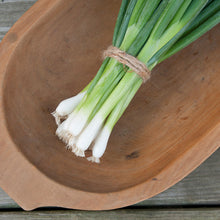 Load image into Gallery viewer, Green Onions
