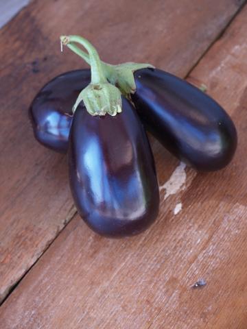 Eggplant