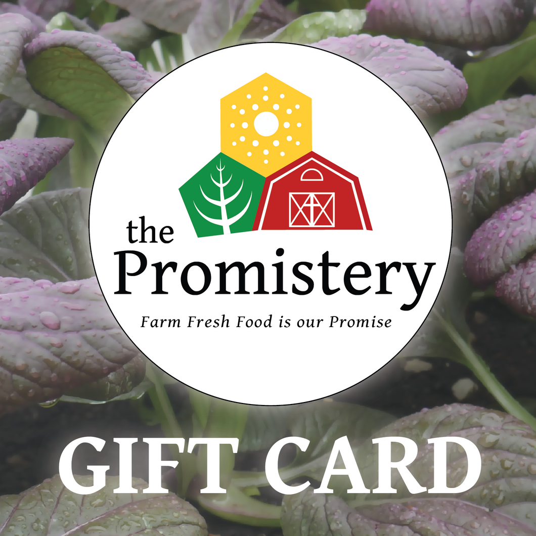 Promistery Gift Card