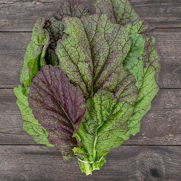 Mustard Greens