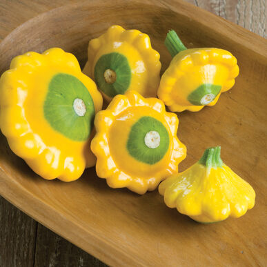 Zucchini Patty Pan